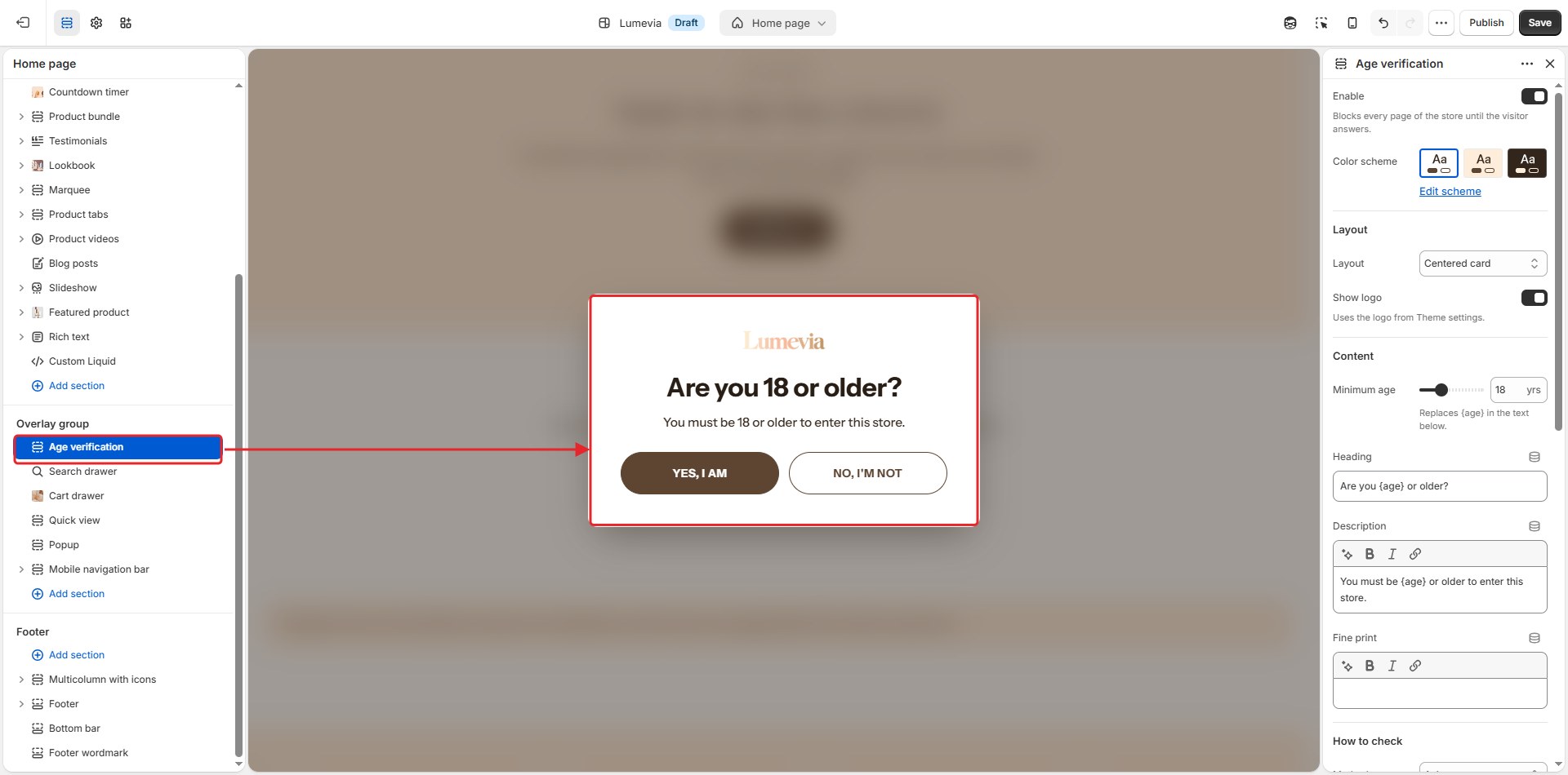 The Age verification section in the theme editor