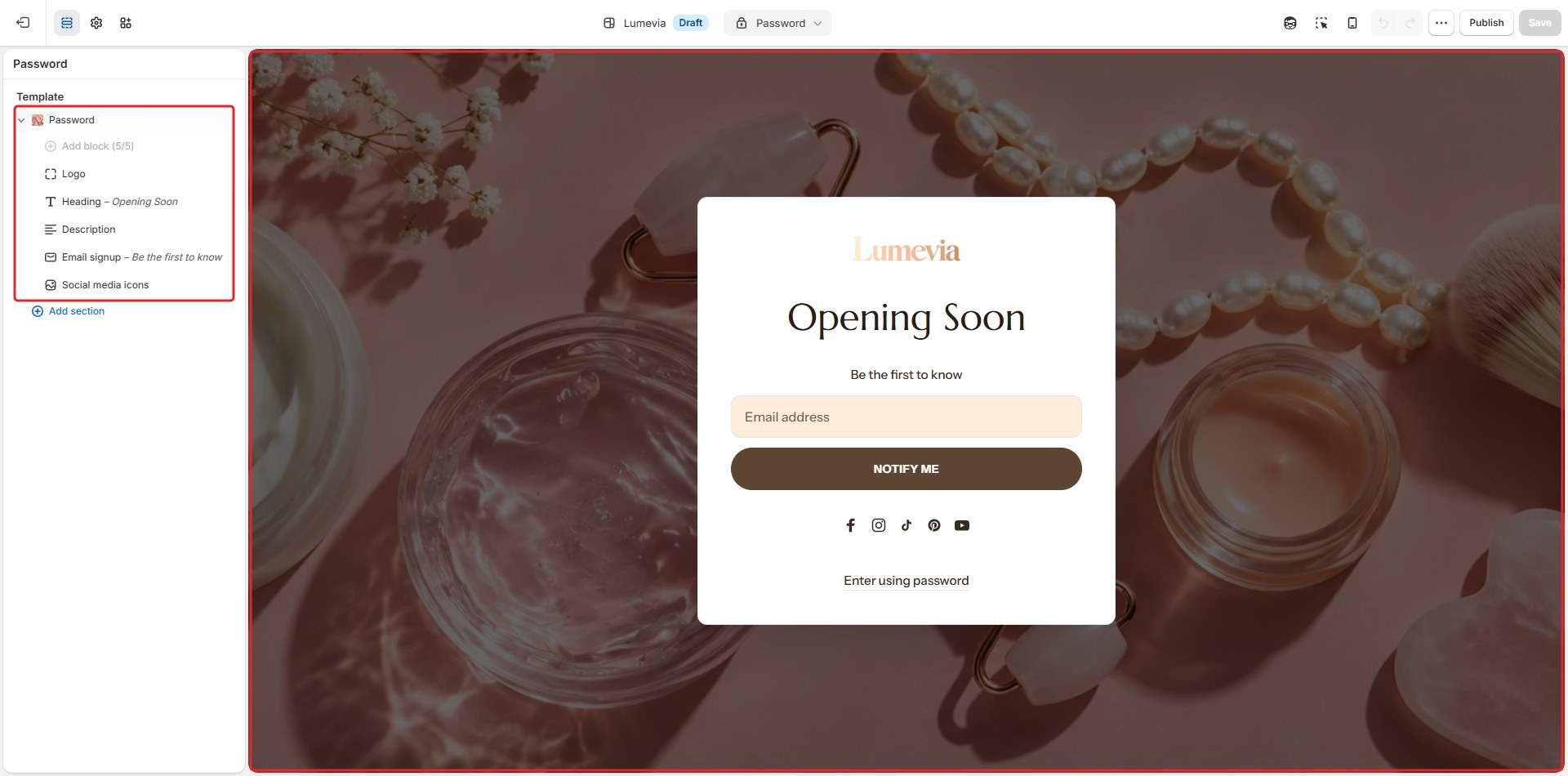 The Password section in the theme editor